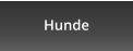 Hunde