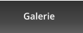 Galerie