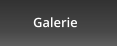 Galerie