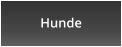 Hunde